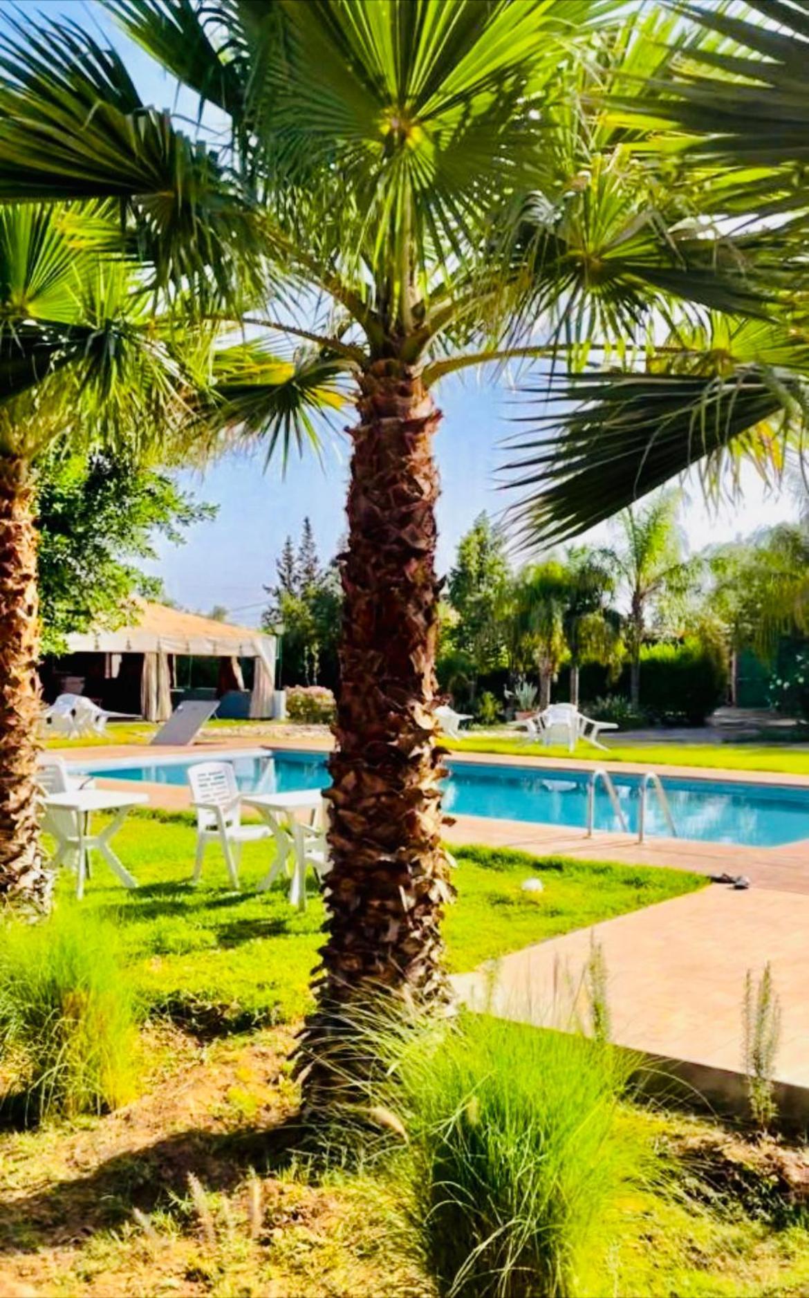 Villa Baddi Marrakech Lagouassem المظهر الخارجي الصورة