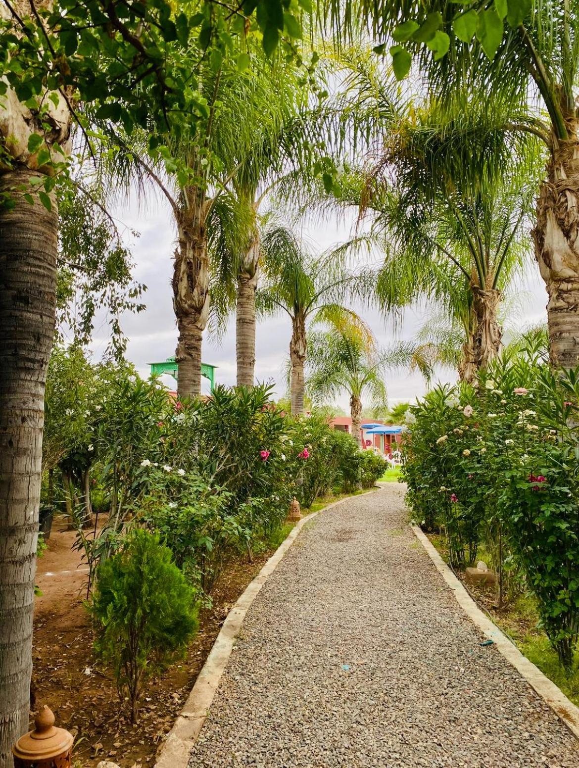 Villa Baddi Marrakech Lagouassem المظهر الخارجي الصورة