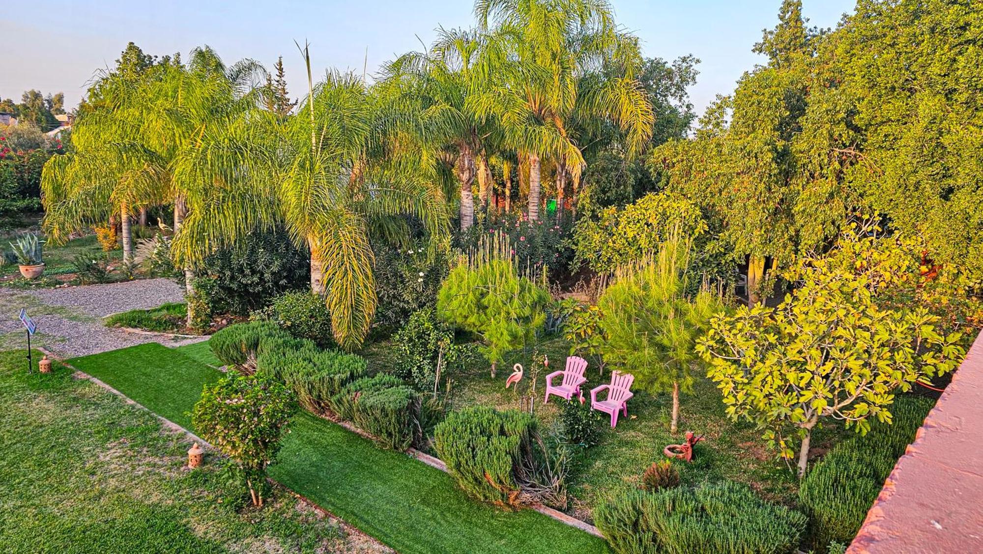 Villa Baddi Marrakech Lagouassem المظهر الخارجي الصورة