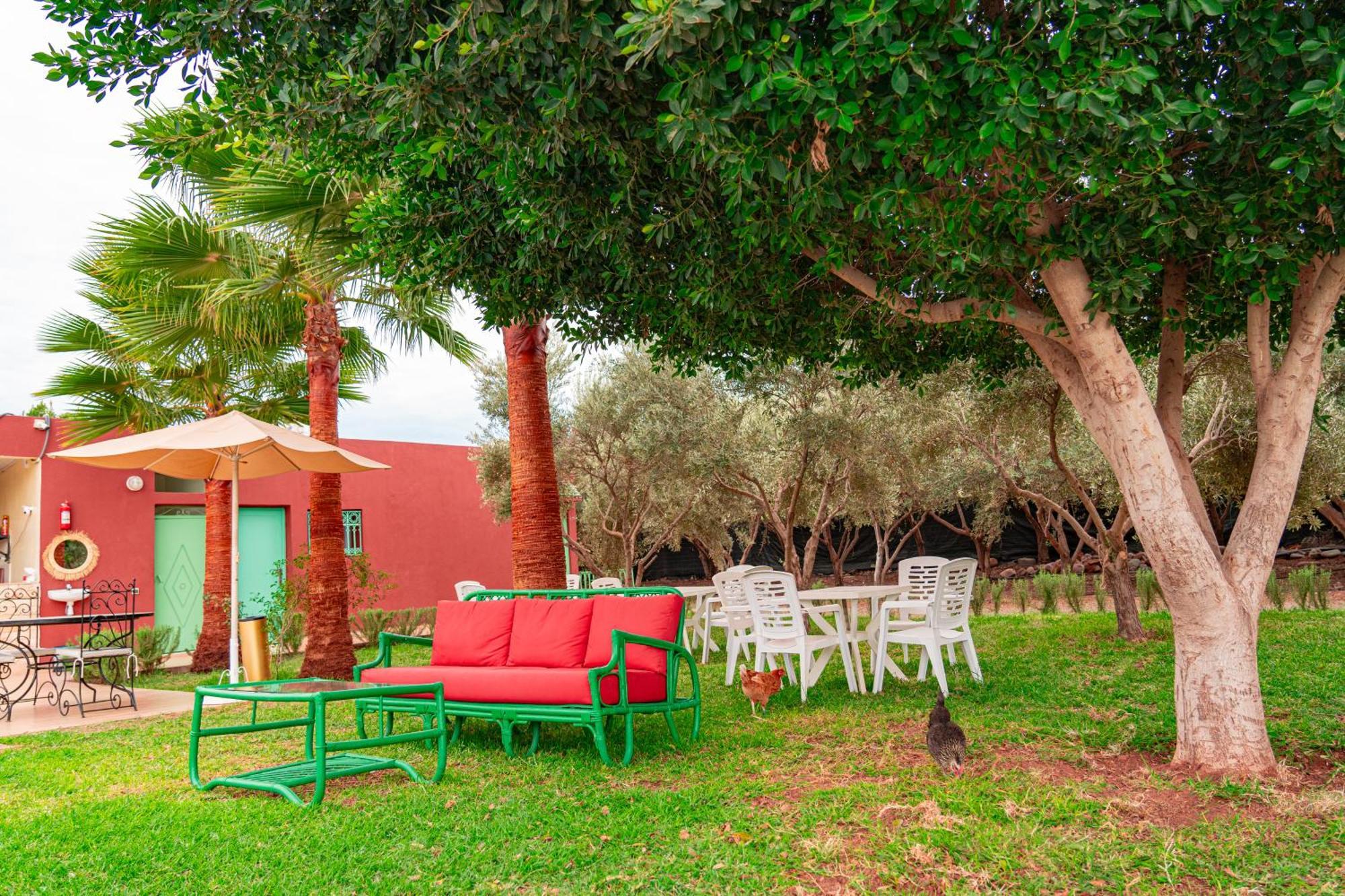 Villa Baddi Marrakech Lagouassem المظهر الخارجي الصورة